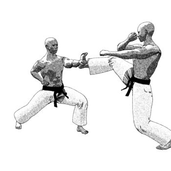 제목이 "Mikazuki geri"인 디지털 아트 Karate Poster로, 원작, 2D 디지털 작업