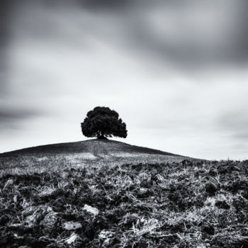 "Born in the 18th ce…" başlıklı Fotoğraf Karim Carella tarafından, Orijinal sanat, Dijital Fotoğrafçılık