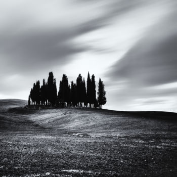 Fotografie mit dem Titel "Cypress trees at su…" von Karim Carella, Original-Kunstwerk, Digitale Fotografie