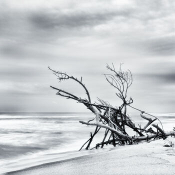 Fotografia zatytułowany „Beach hut” autorstwa Karim Carella, Oryginalna praca, Fotografia cyfrowa