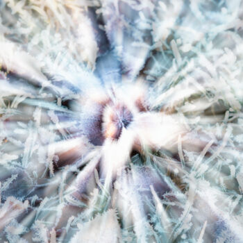 Fotografia intitolato "Frozen (studio 3)" da Karim Carella, Opera d'arte originale, Fotografia digitale