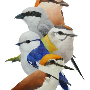 Картина под названием "5 birds" - Karina Danylchuk, Подлинное произведение искусства, Акварель
