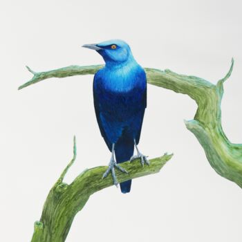 Ζωγραφική με τίτλο "Serious blue bird o…" από Karina Danylchuk, Αυθεντικά έργα τέχνης, Ακουαρέλα