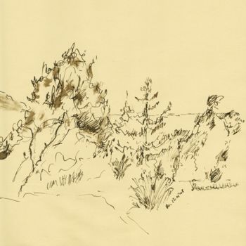 Zeichnungen mit dem Titel "Garden on the beach" von Karina Plachetka, Original-Kunstwerk, Tinte