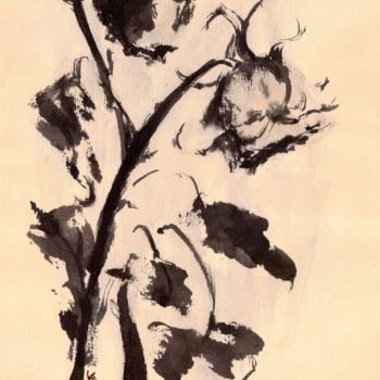 Zeichnungen mit dem Titel "Black roses" von Karina Plachetka, Original-Kunstwerk, Tinte