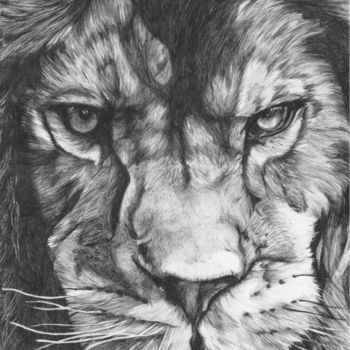 Dessin intitulée "lion au stylo bille" par Karine Lambert, Œuvre d'art originale, Stylo à bille