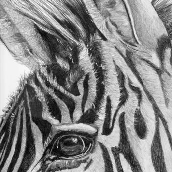 Dessin intitulée "zebre.jpg" par Karine Lambert, Œuvre d'art originale, Stylo à bille