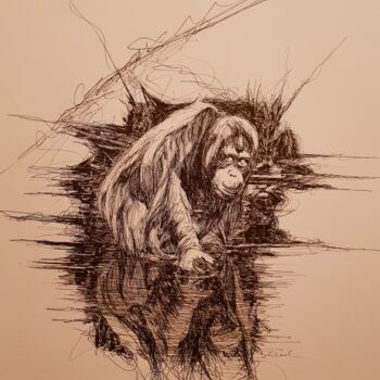 Dibujo titulada "Orang-outan" por Karl Robial, Obra de arte original, Tinta