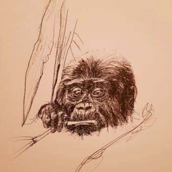 Σχέδιο με τίτλο "Gorille 2" από Karl Robial, Αυθεντικά έργα τέχνης, Μελάνι