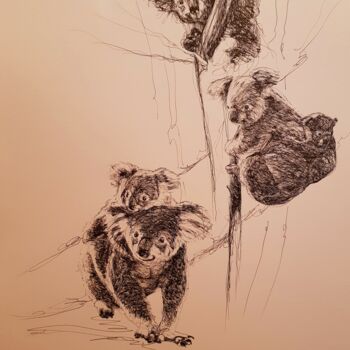 Zeichnungen mit dem Titel "Koalas" von Karl Robial, Original-Kunstwerk, Tinte