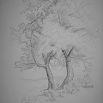 Painting titled "Two Maple Trees By…" by Karl-Werner Gerstner, Original Artwork, Pencil