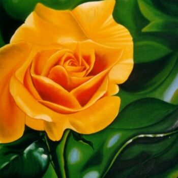 Painting titled "Gelbe Rose" by Kafi, Original Artwork, Oil