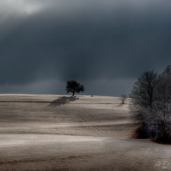 Fotografie getiteld "L'arbre sous le sol…" door Karolus, Origineel Kunstwerk