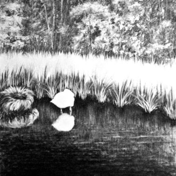 Dessin intitulée "Le cygne dort" par Karolus, Œuvre d'art originale, Fusain