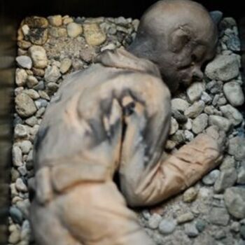 Sculpture titled "Detail Flanders Fie…" by Kathy Vandamme, Original Artwork, Mixed Media