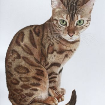 Malerei mit dem Titel "Bengal cat" von Ekaterina Rau, Original-Kunstwerk, Aquarell