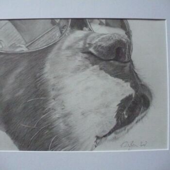 Drawing titled "Cool Boxer!" by Kelly Brown, Original Artwork