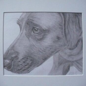 Drawing titled "serious!!" by Kelly Brown, Original Artwork
