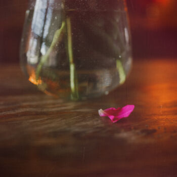 Photography titled "Pink Petal" by Ken Gehring, Original Artwork, Non Manipulated Photography