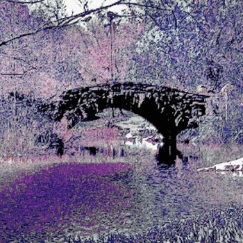 "Central Park - Bow…" başlıklı Fotoğraf Ken Lerner tarafından, Orijinal sanat, Dijital Fotoğrafçılık