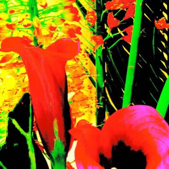 Photography titled "Flower Arrangement…" by Ken Lerner, Original Artwork, Digital Photography
