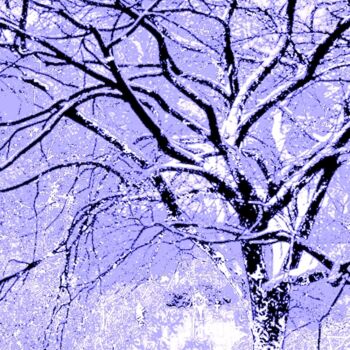 Fotografie mit dem Titel "A Tree in Central P…" von Ken Lerner, Original-Kunstwerk, Digitale Fotografie