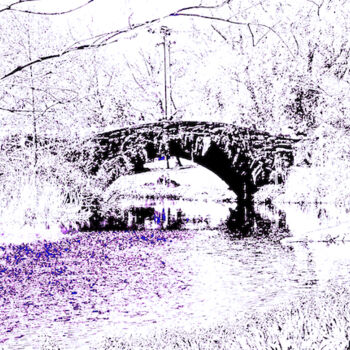 Photographie intitulée "Central Park - Bow…" par Ken Lerner, Œuvre d'art originale, Photographie manipulée