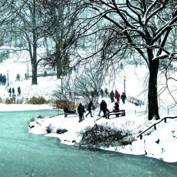 Fotografia intitolato "Central Park Snow 8" da Ken Lerner, Opera d'arte originale, Fotografia digitale