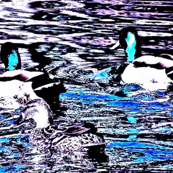 Photography titled "Central Park Ducks…" by Ken Lerner, Original Artwork, Digital Photography