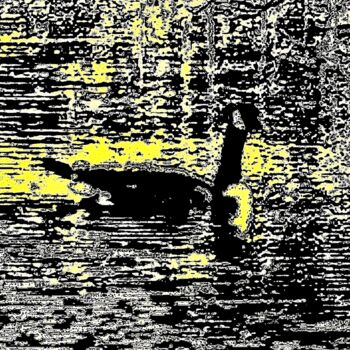 摄影 标题为“A Goose on the Lake…” 由Ken Lerner, 原创艺术品, 数码摄影