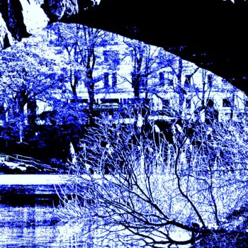 「Central Park Throug…」というタイトルの写真撮影 Ken Lernerによって, オリジナルのアートワーク, デジタル