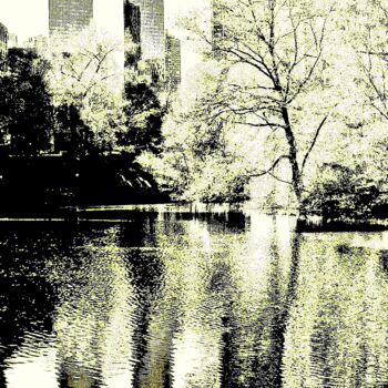 Фотография под названием "Central Park Pond 4…" - Ken Lerner, Подлинное произведение искусства, Цифровая фотография
