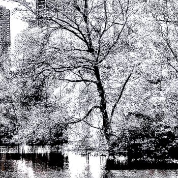 摄影 标题为“Central Park Pond 4…” 由Ken Lerner, 原创艺术品, 数码摄影