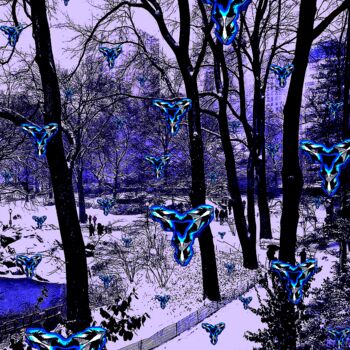 "Central Park - Blue…" başlıklı Fotoğraf Ken Lerner tarafından, Orijinal sanat, Dijital Fotoğrafçılık