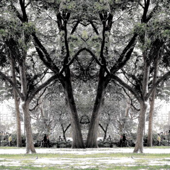 「Madison Park 23 - T…」というタイトルの写真撮影 Ken Lernerによって, オリジナルのアートワーク, デジタル