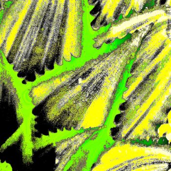 Fotografia zatytułowany „Cactus Leaves 1b” autorstwa Ken Lerner, Oryginalna praca, Fotografia cyfrowa