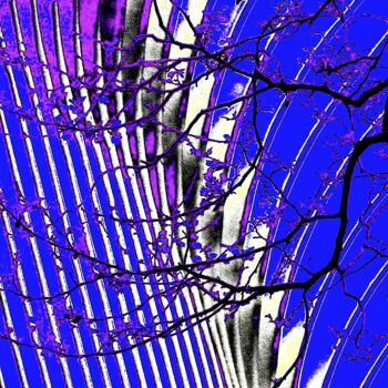 摄影 标题为“Oculus and Tree Bra…” 由Ken Lerner, 原创艺术品, 数码摄影