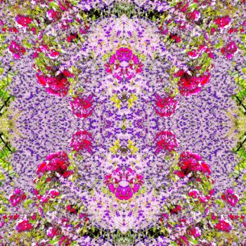 Фотография под названием "Wildflowers 1e4 [li…" - Ken Lerner, Подлинное произведение искусства, Цифровая фотография