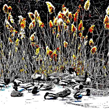 Photographie intitulée "Central Park 4 - Du…" par Ken Lerner, Œuvre d'art originale, Photographie numérique