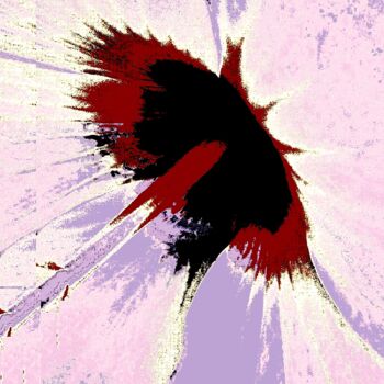 Фотография под названием "Hibiscus 1w6b2" - Ken Lerner, Подлинное произведение искусства, Цифровая фотография