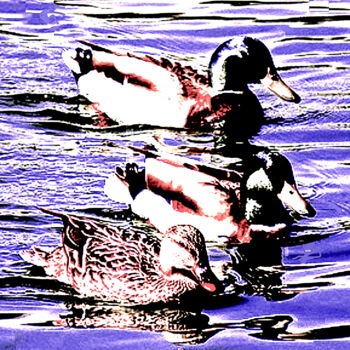 Photographie intitulée "Ducks 100f" par Ken Lerner, Œuvre d'art originale, Photographie numérique