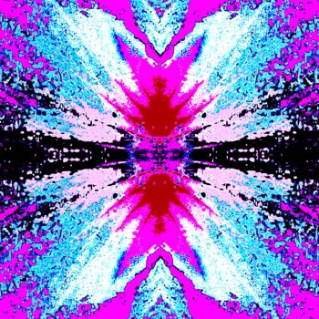 Фотография под названием "Hibiscus 5aX2f4" - Ken Lerner, Подлинное произведение искусства, Цифровая фотография