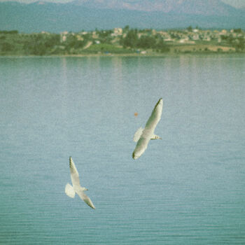 Fotografia zatytułowany „Take Me To The Lakes” autorstwa Kerem Bozdogan, Oryginalna praca, Fotografia cyfrowa