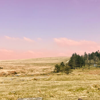 Photography titled "Dartmoor sunset" by Kerry Gerdes, Original Artwork, Digital Photography