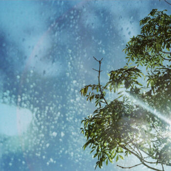 Fotografia intitolato "Sun through trees" da Kerry Gerdes, Opera d'arte originale, Fotografia manipolata
