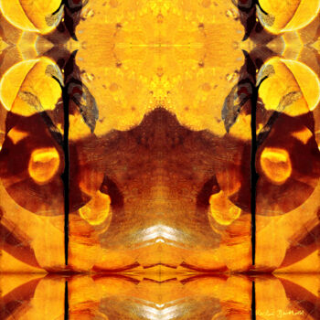 Arte digitale intitolato "Sonnenwasser" da Kerstin Berthold, Opera d'arte originale, Collage digitale