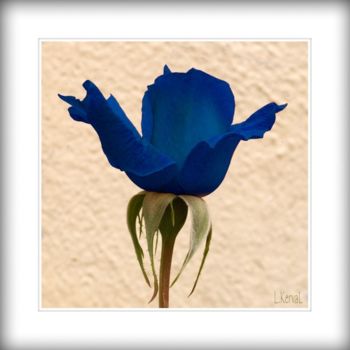 Digitale Kunst mit dem Titel "Blue Rose" von L Kerval, Original-Kunstwerk, Digitale Malerei
