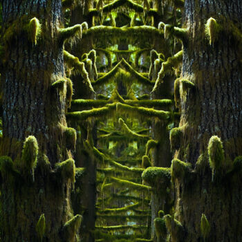 Arts numériques intitulée "Buried in the Forest" par Kevin Felts, Œuvre d'art originale, Travail numérique 2D