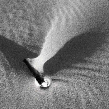 Fotografie mit dem Titel "Sand Bird" von Kevin Felts, Original-Kunstwerk, Digitale Fotografie