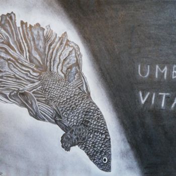 「Umbra vitae」というタイトルの描画 Kevin Schallerによって, オリジナルのアートワーク, 鉛筆